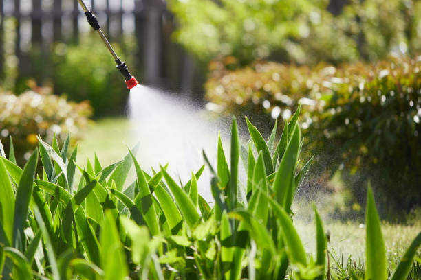 24/7 Emergency Mosquito Control experts in West Hamburg, PA