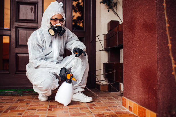 Reliable Mosquito Control contractor in West Hamburg, PA by Show Me Pest Control